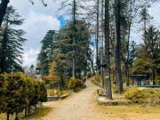 Himachal Family Hills & Heritage Retreat (5 Nights 6 Days)