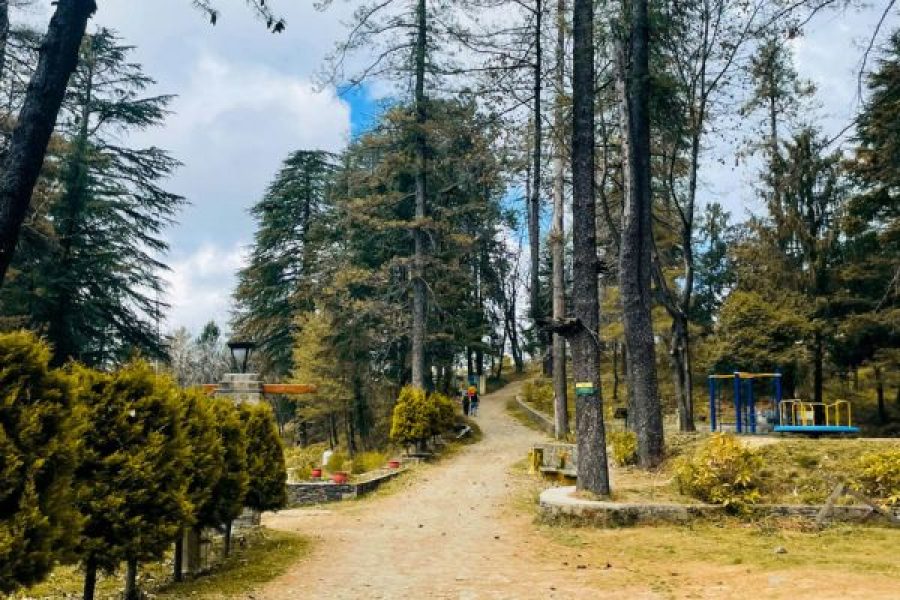 Himachal Family Hills & Heritage Retreat (5 Nights 6 Days)